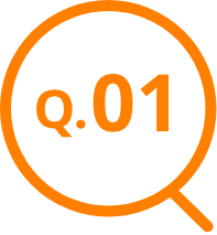 q.01