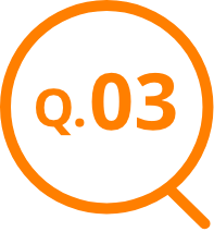 q.03